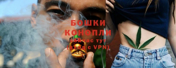 гидропоника Аша