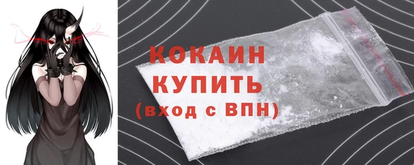 тгк Михайлов
