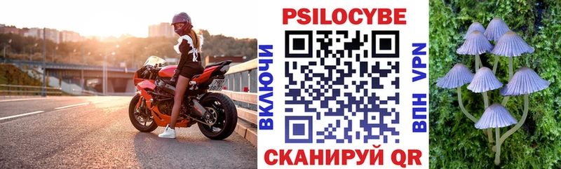 Псилоцибиновые грибы Psilocybe  Ухта 